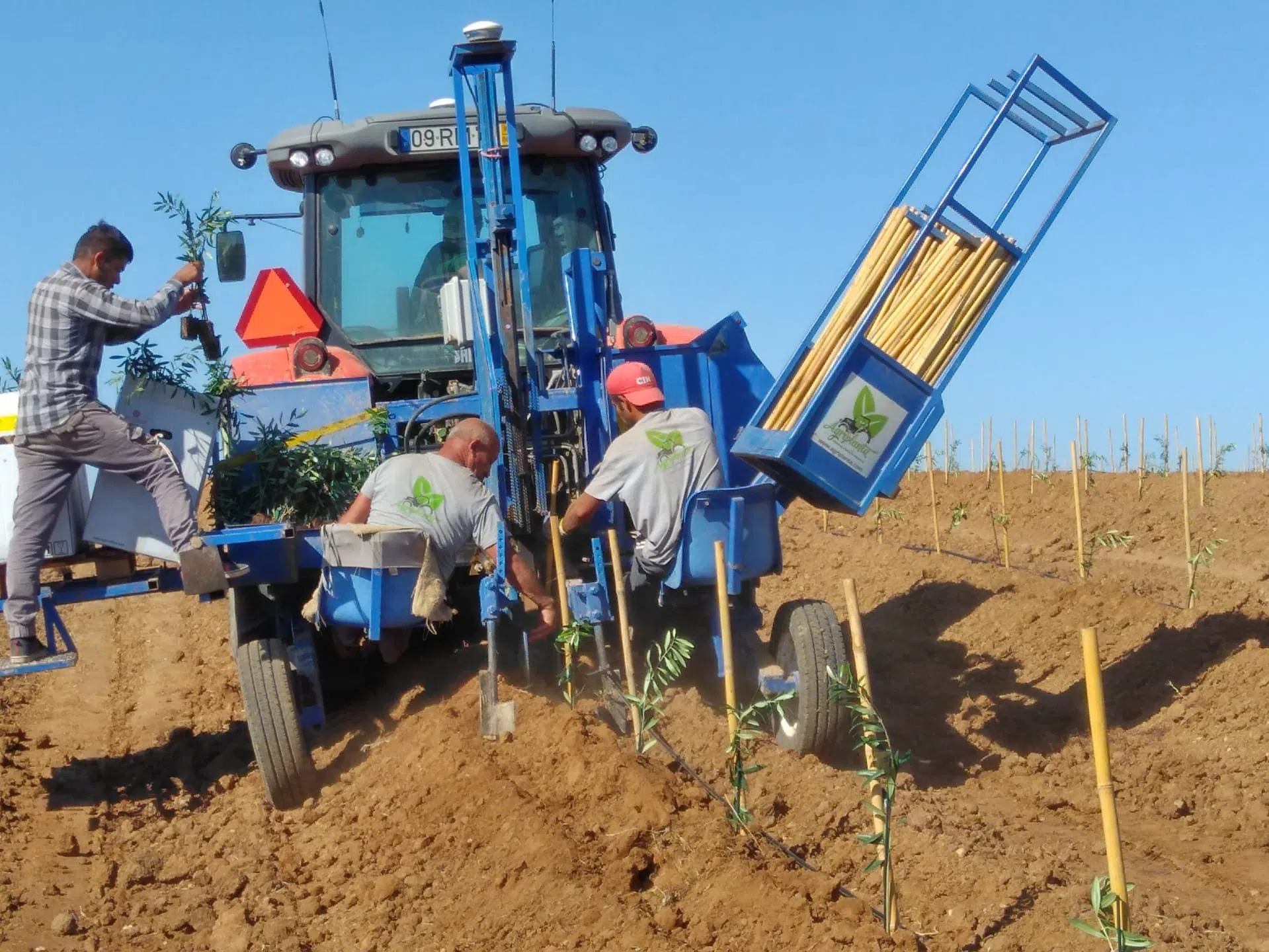 a-procura-crescente-de-projetos-chave-na-mao-no-mundo-agricola-platacao-e-estacamento-plantacao-intensiva.webp