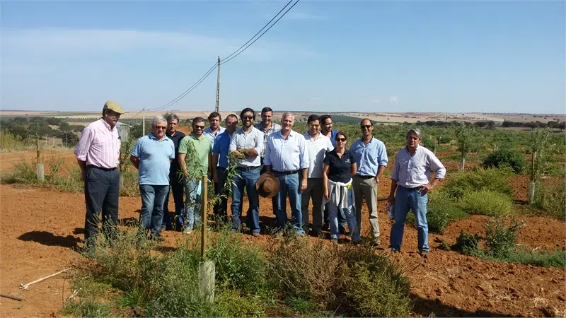 equipa-hidro-iberica-dia-de-campo-em-aljustrel-amendoal-fase-produtiva-llopis.webp
