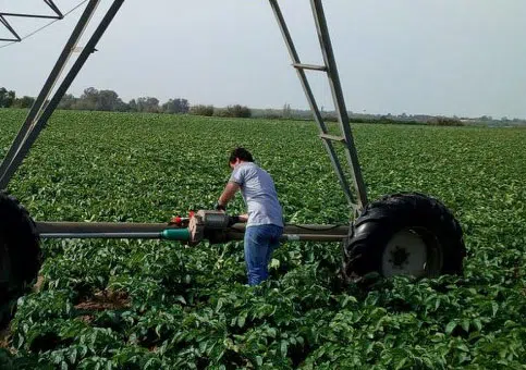 hidro-iberica-reforca-parceria-com-espanhola-agromillora-pivot-plantacao-plantas.webp