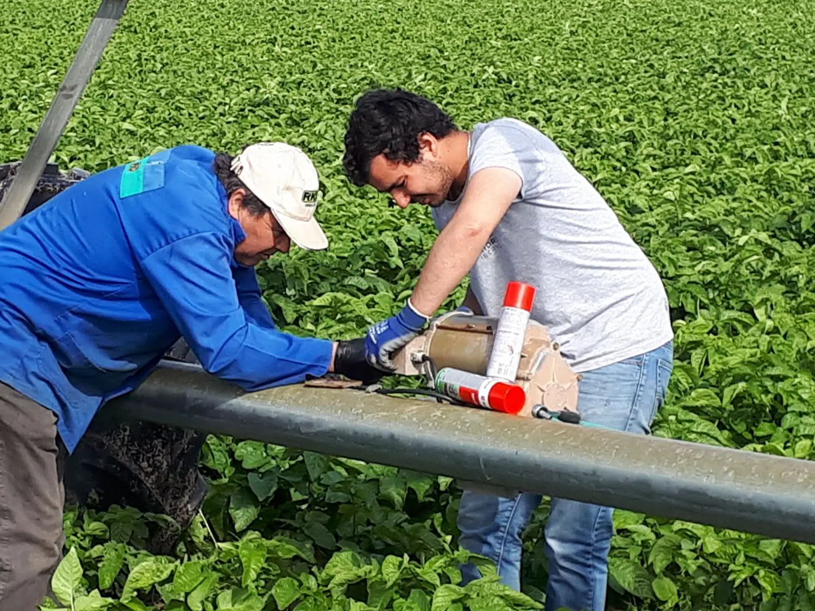 instalacao-de-pivot-de-rega-agricola-14.webp