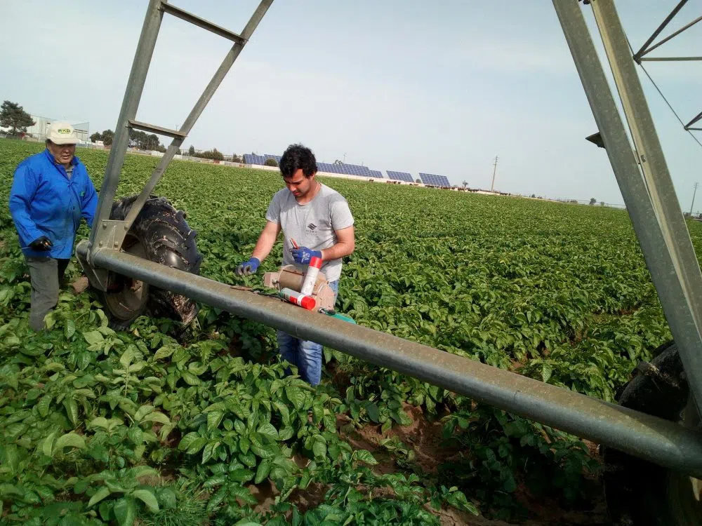 instalacao-de-pivot-de-rega-agricola-30-anos-agricultura-regadio-e-vida.webp
