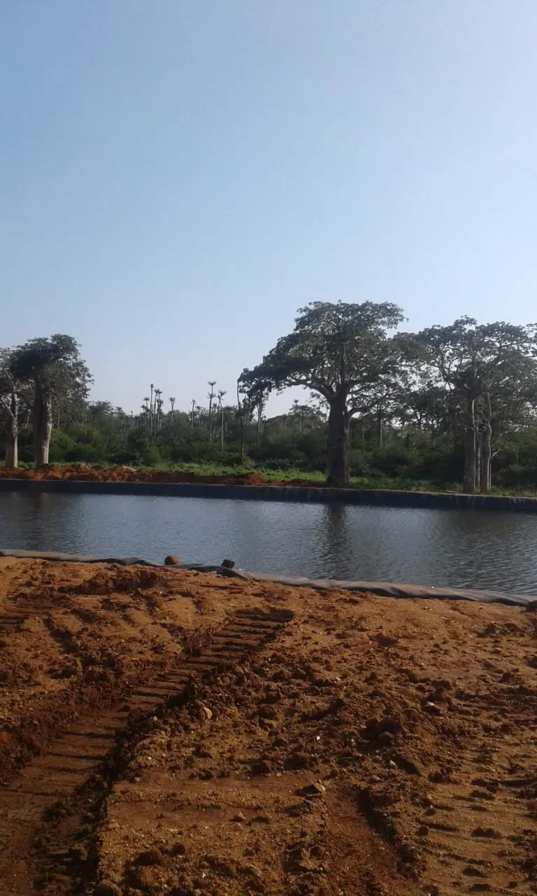 instalacao-de-sistema-de-rega-agricola-3.webp