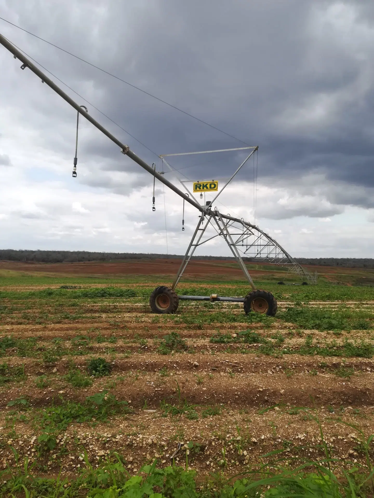 pivot-de-rega-em-exploracao-agricola.webp