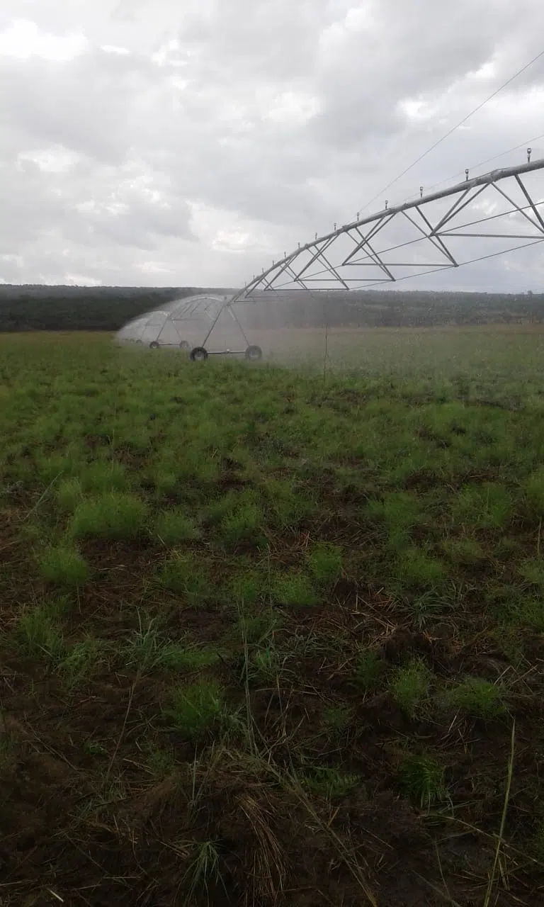 pivot-de-rega-para-agricultura-8.webp