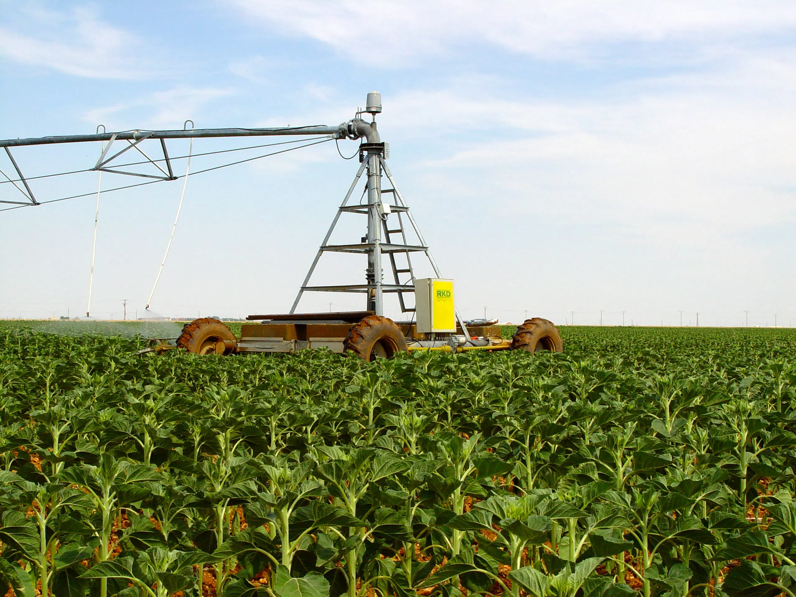 pivot-de-rega-rkd-em-cultura-agricola.webp