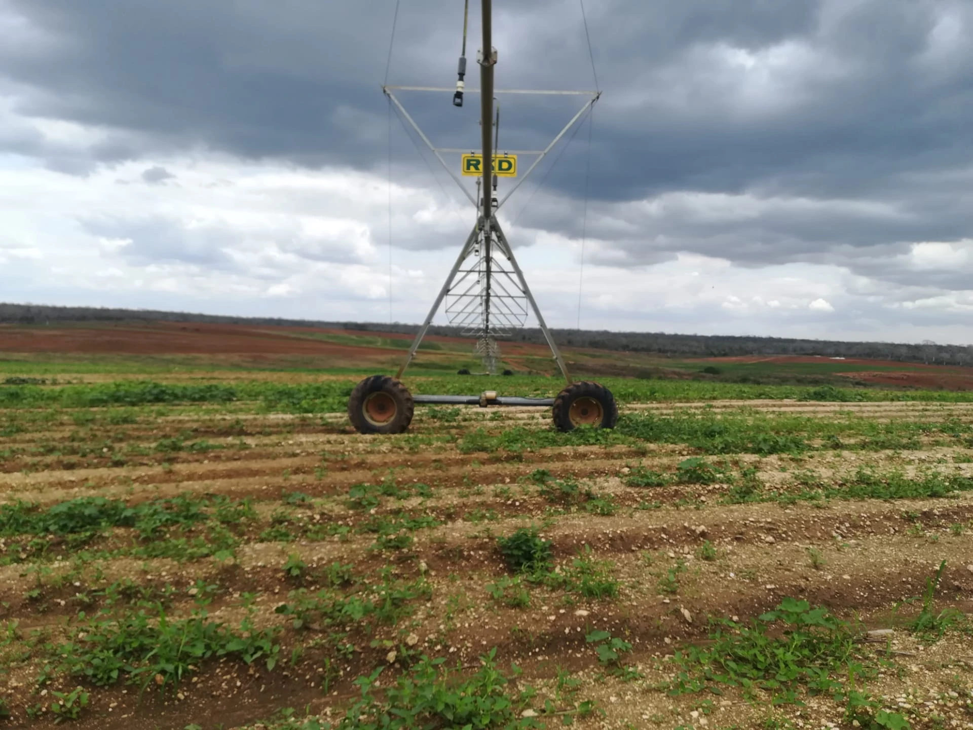 pivot-de-rega-rkd-para-agricultura-2.webp