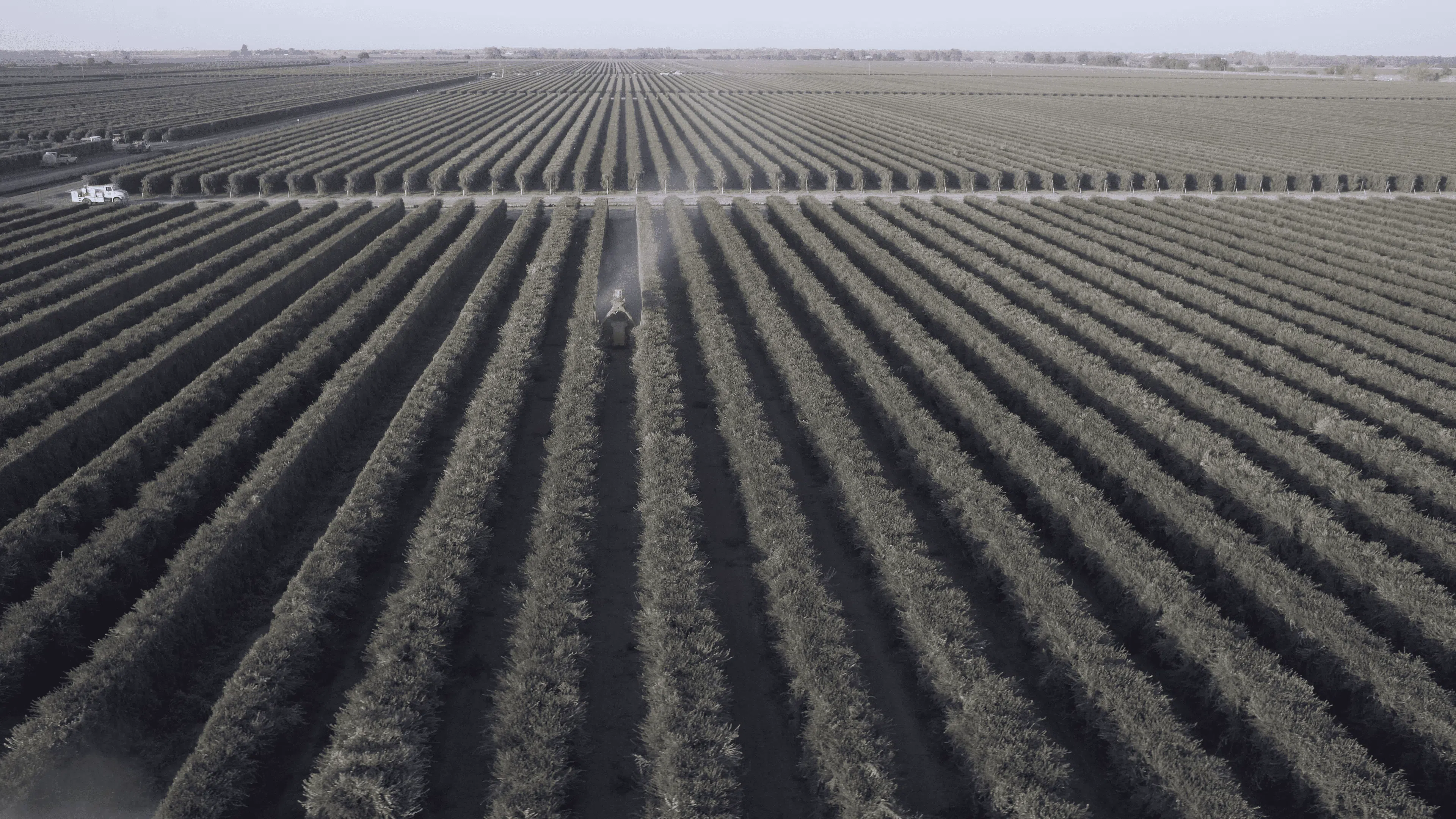 preparacao-do-solo-para-plantacao-agricola-6.webp