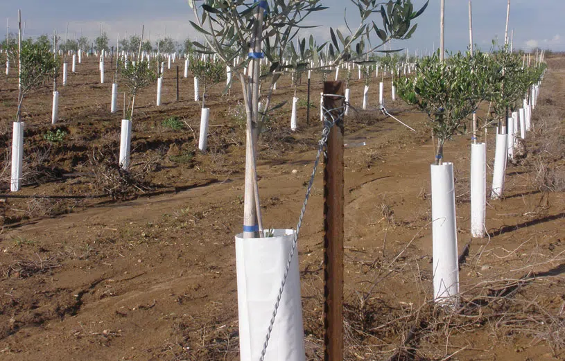rega-e-protecao-de-plantacao-agricola.webp