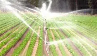 rega-por-aspersao-em-campo-agricola.webp