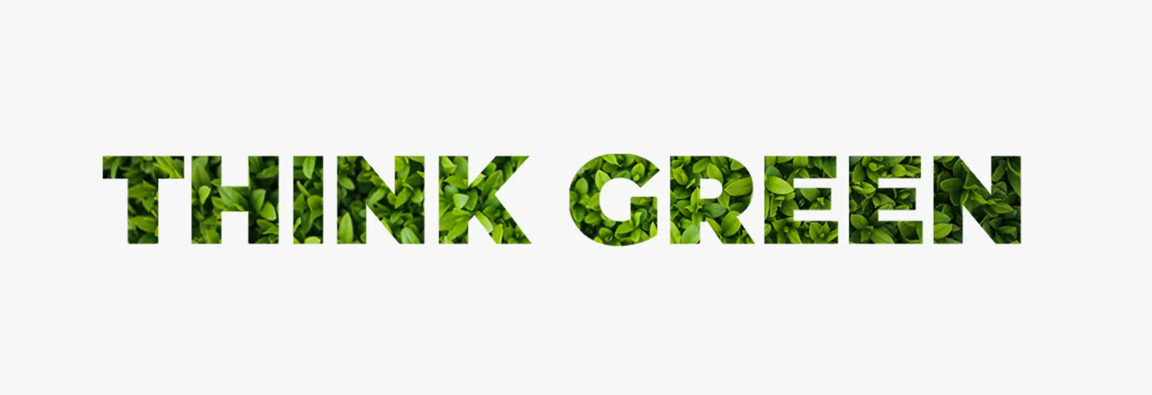 think-green-e-sustentabilidade-na-agricultura.webp