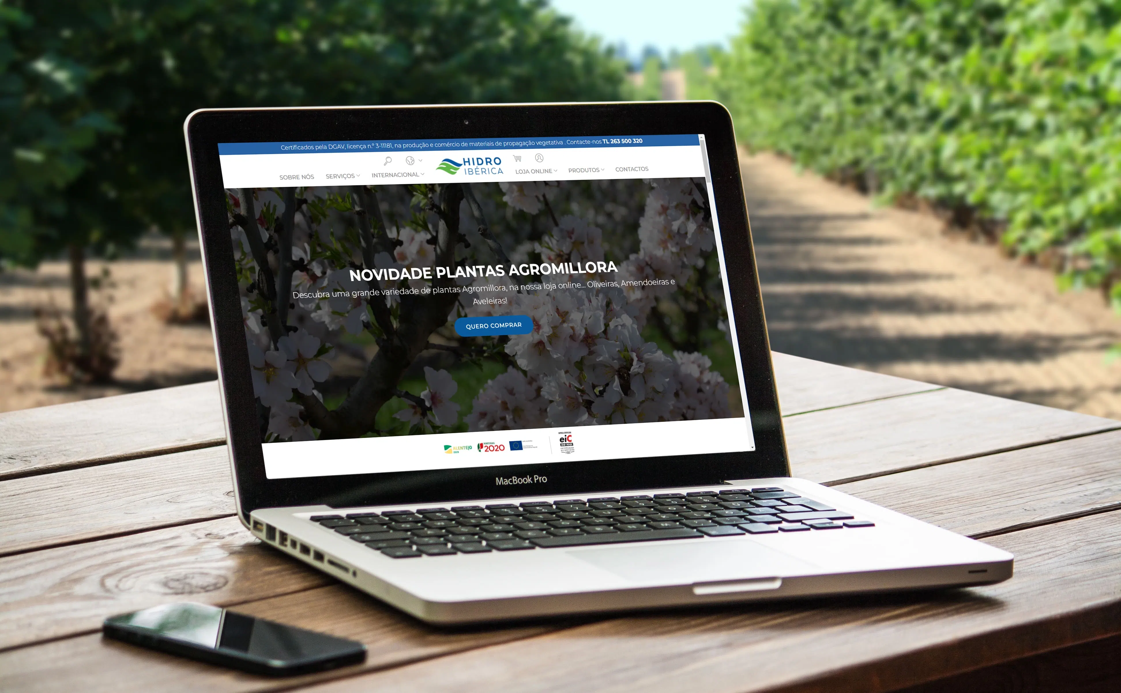 website-comercio-online-de-plantas-certificadas-em-destaque-na-imprensa.webp