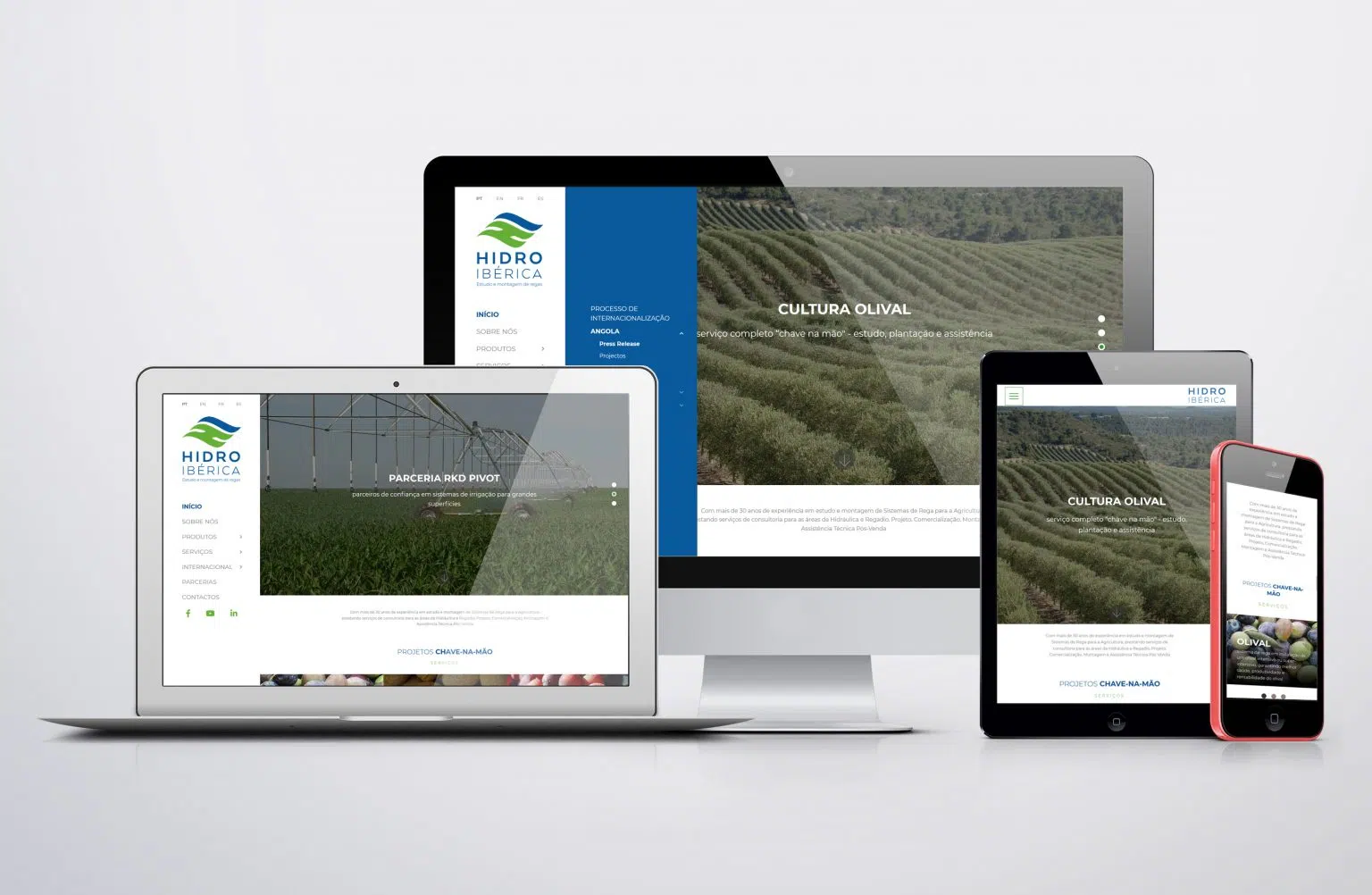 website-da-hidro-iberica-em-varios-dispositivos.webp